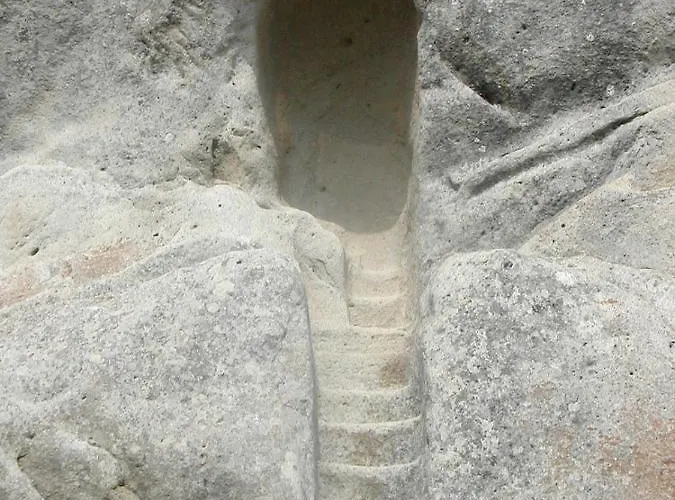 Lupo Bed & Breakfast 3*